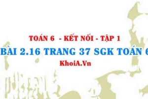 Bài 2.16 trang 37 SGK Toán 6 tập 1 Kết nối tri thức